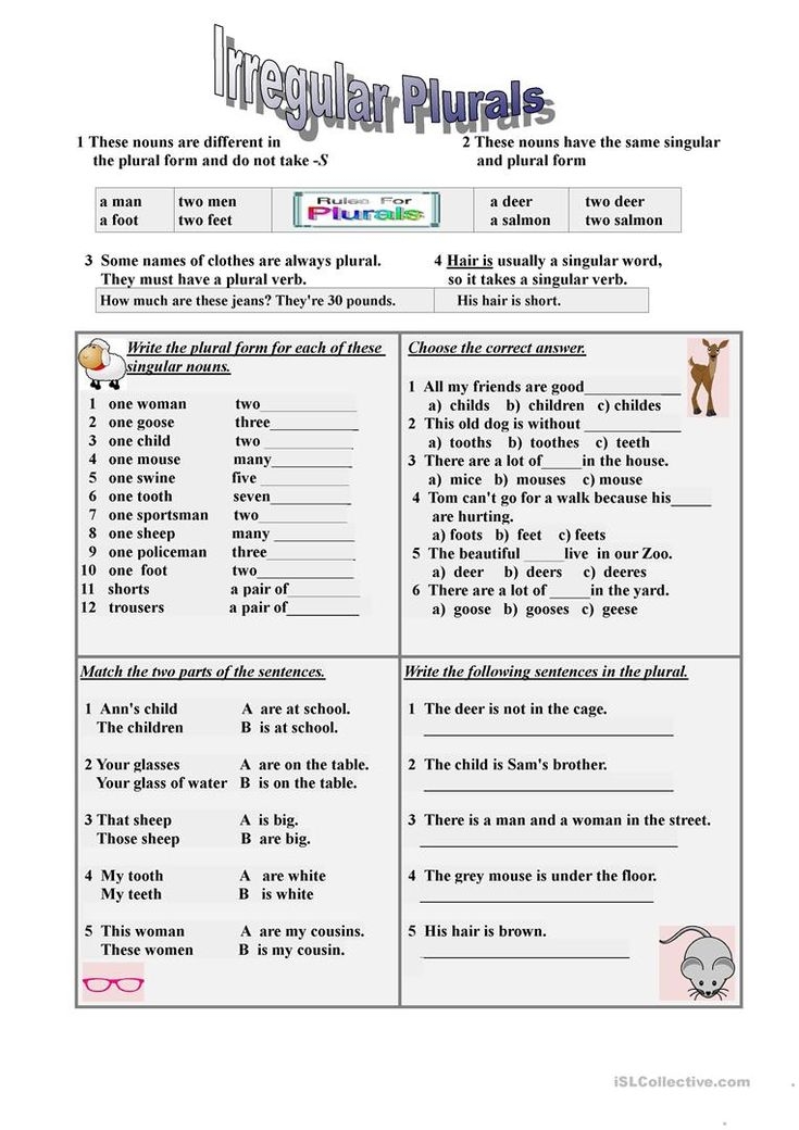 Irregular Plurals Worksheet Free