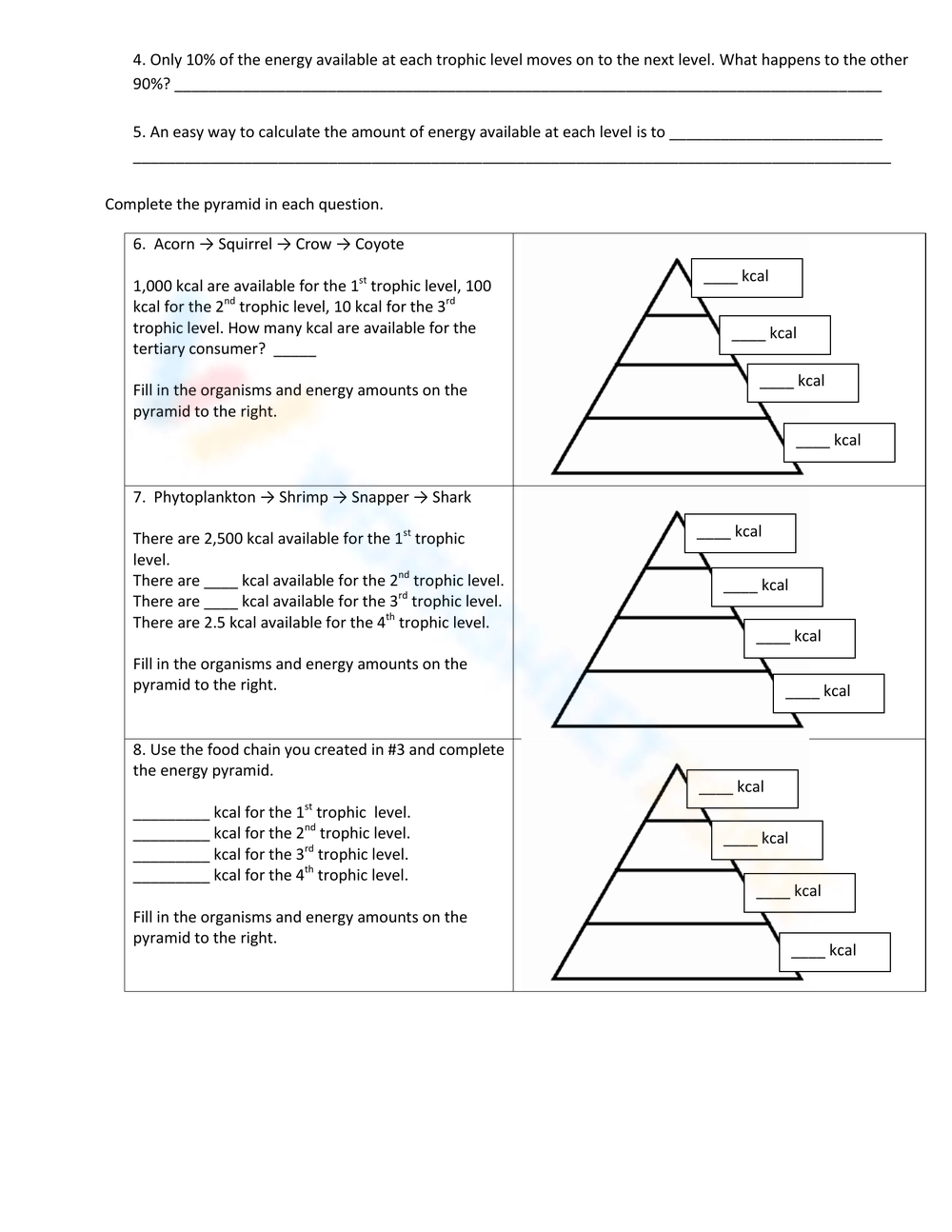 10 Free Printable Ecological Pyramids Worksheet Collection Worksheets