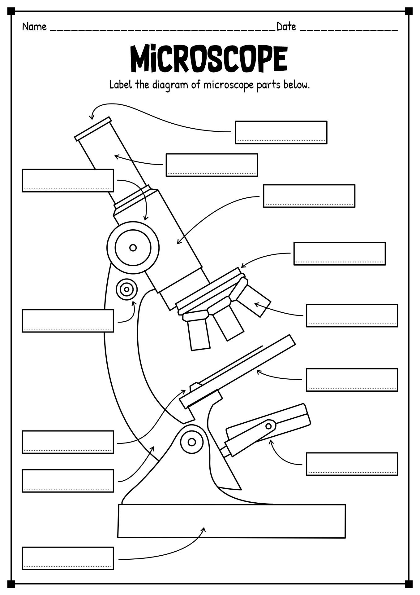 15 Printable Microscope Worksheet For 7th Grade Science