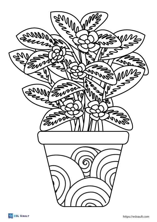 Plant Color Pages