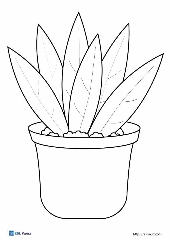 20 Free Printable Plant Coloring Pages ESL Vault