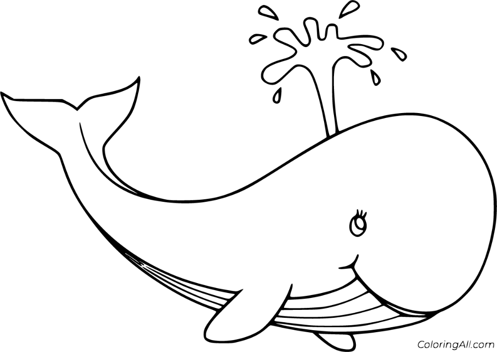 22 Free Printable Blue Whale Coloring Pages In Vector Format Easy To 