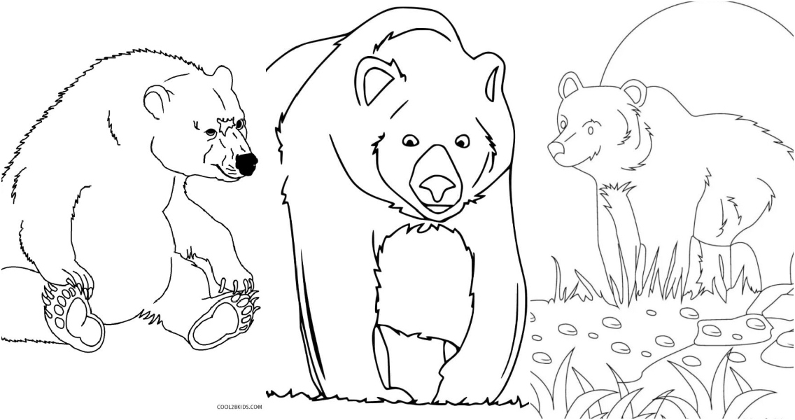 free bear coloring pages