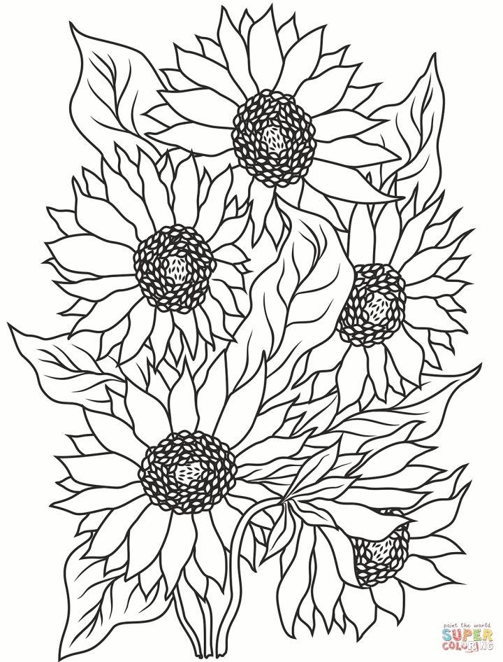 Sunflower Coloring Book Pages
