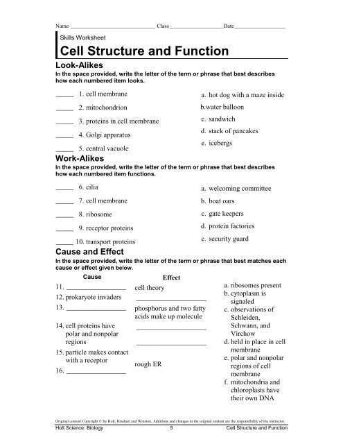 3 4 Cell Structure Worksheets Library