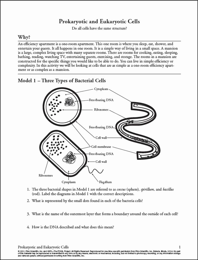 50 Biological Classification Worksheet Answer Key Chessmuseum 