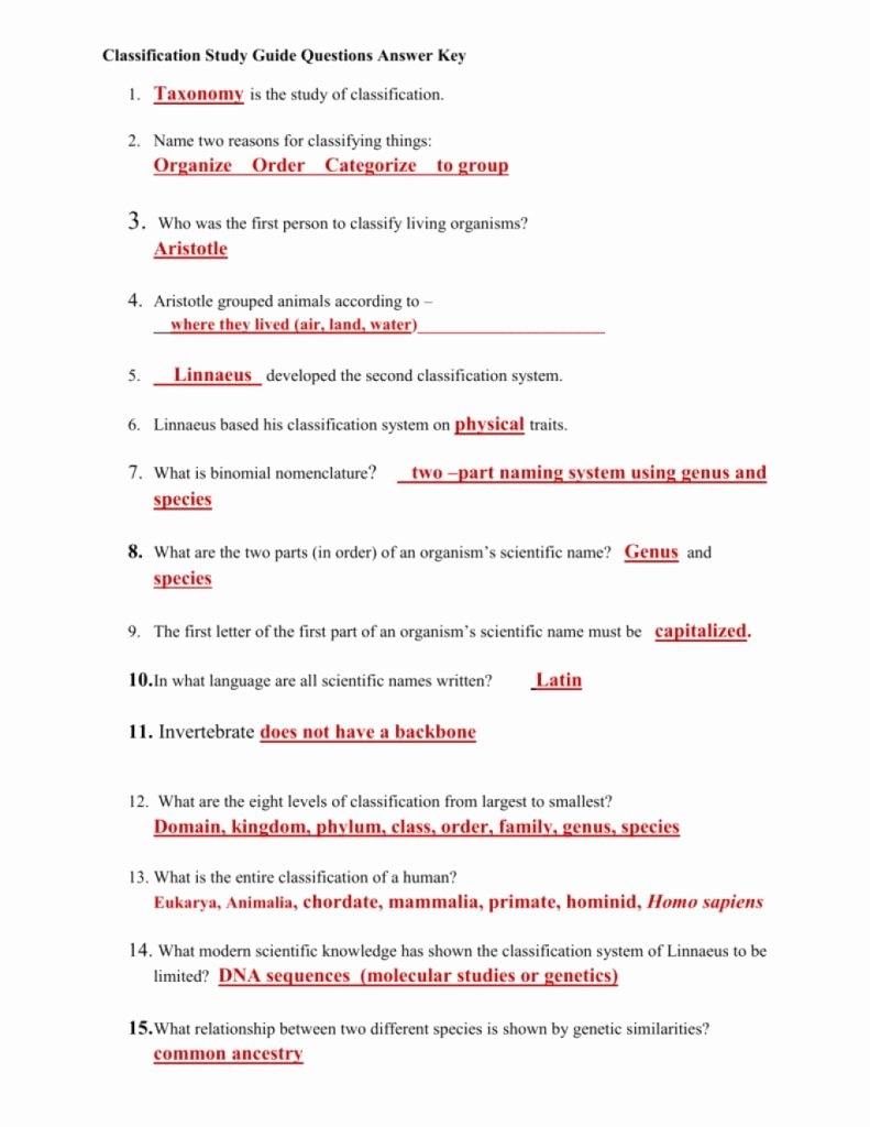 50 Biological Classification Worksheet Answer Key Chessmuseum