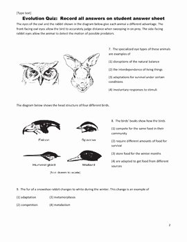 darwin natural selection worksheet