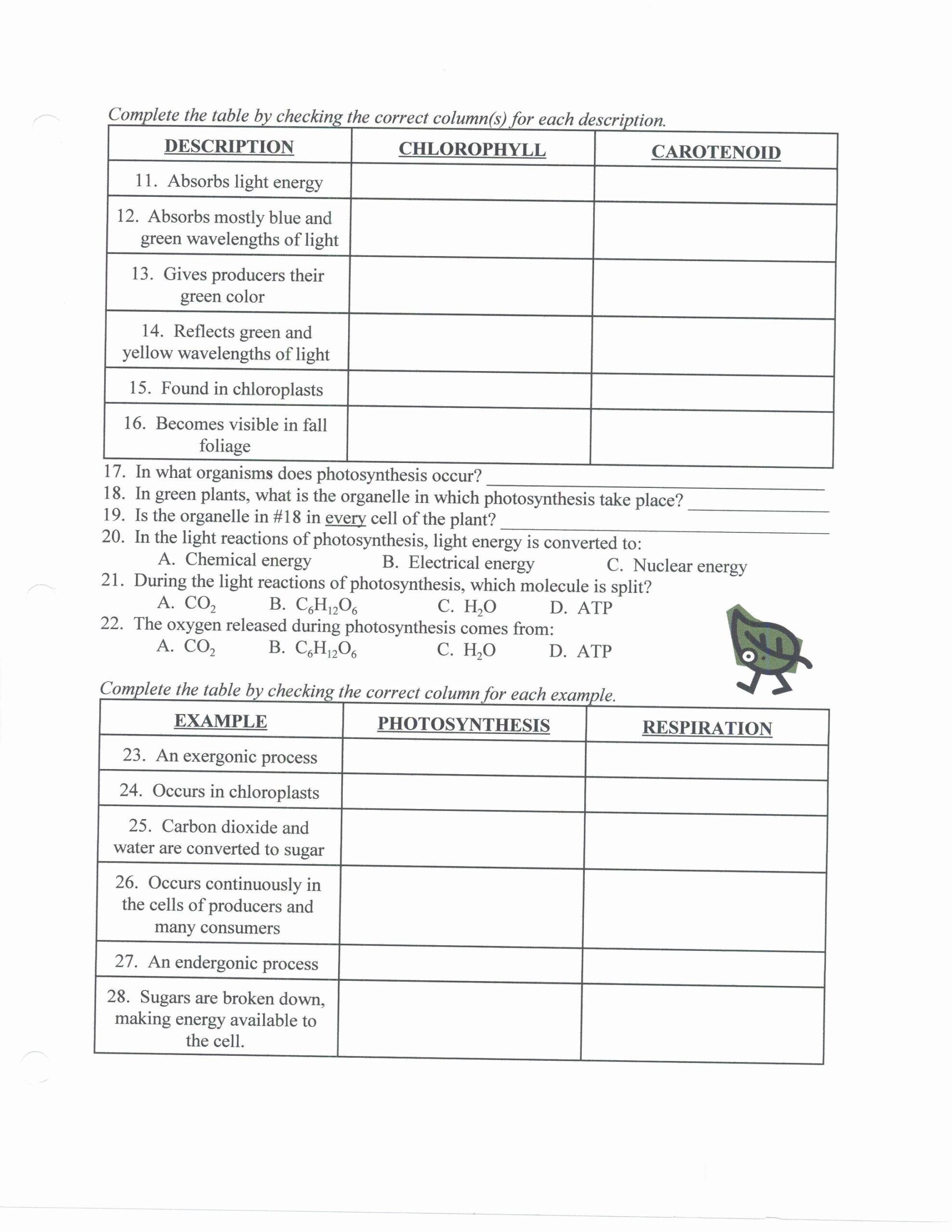 50 Ecological Relationships Worksheet Answers