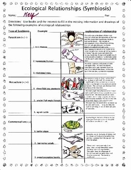50 Ecological Relationships Worksheet Answers