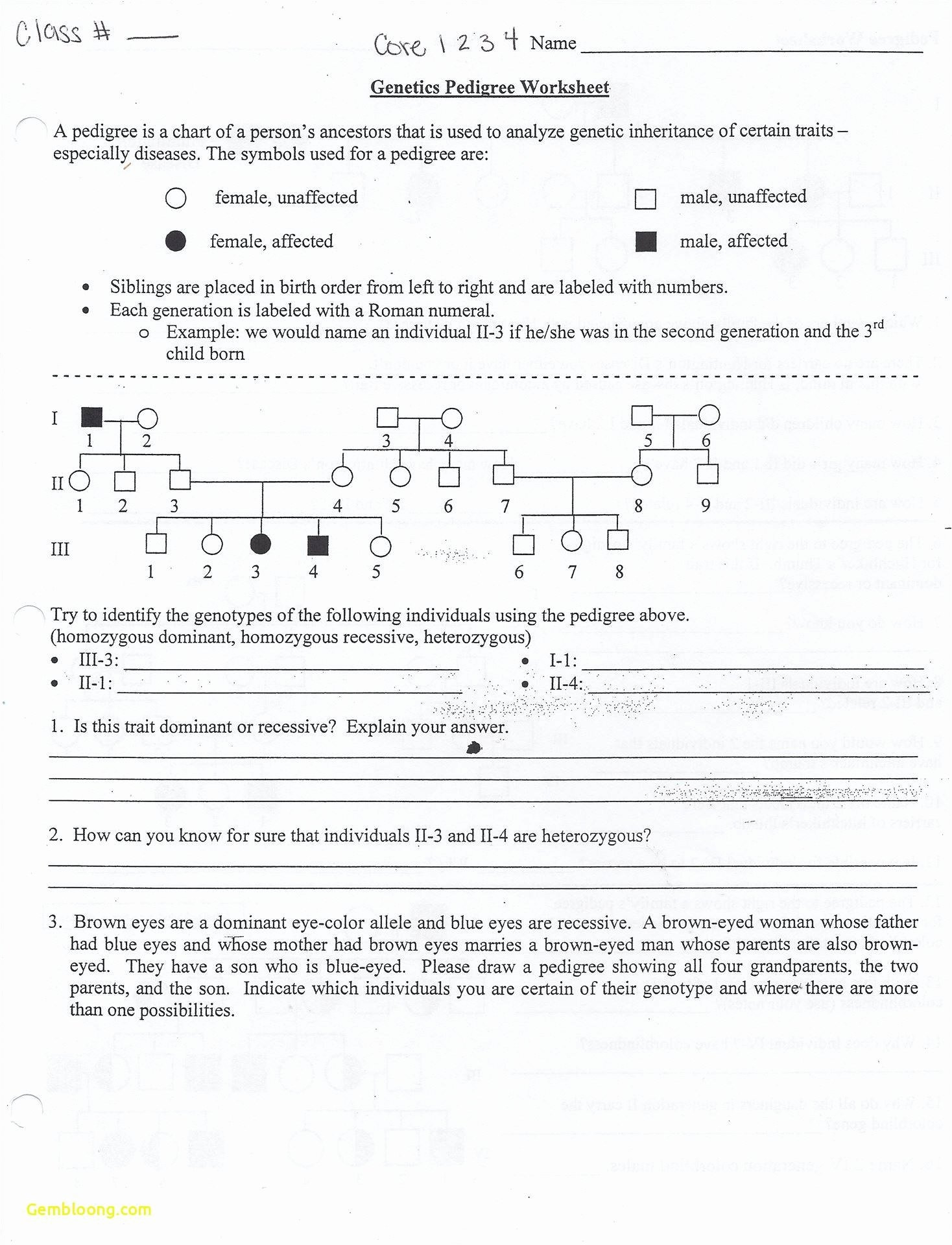 50 Genetics Worksheet Answer Key Chessmuseum Template Library