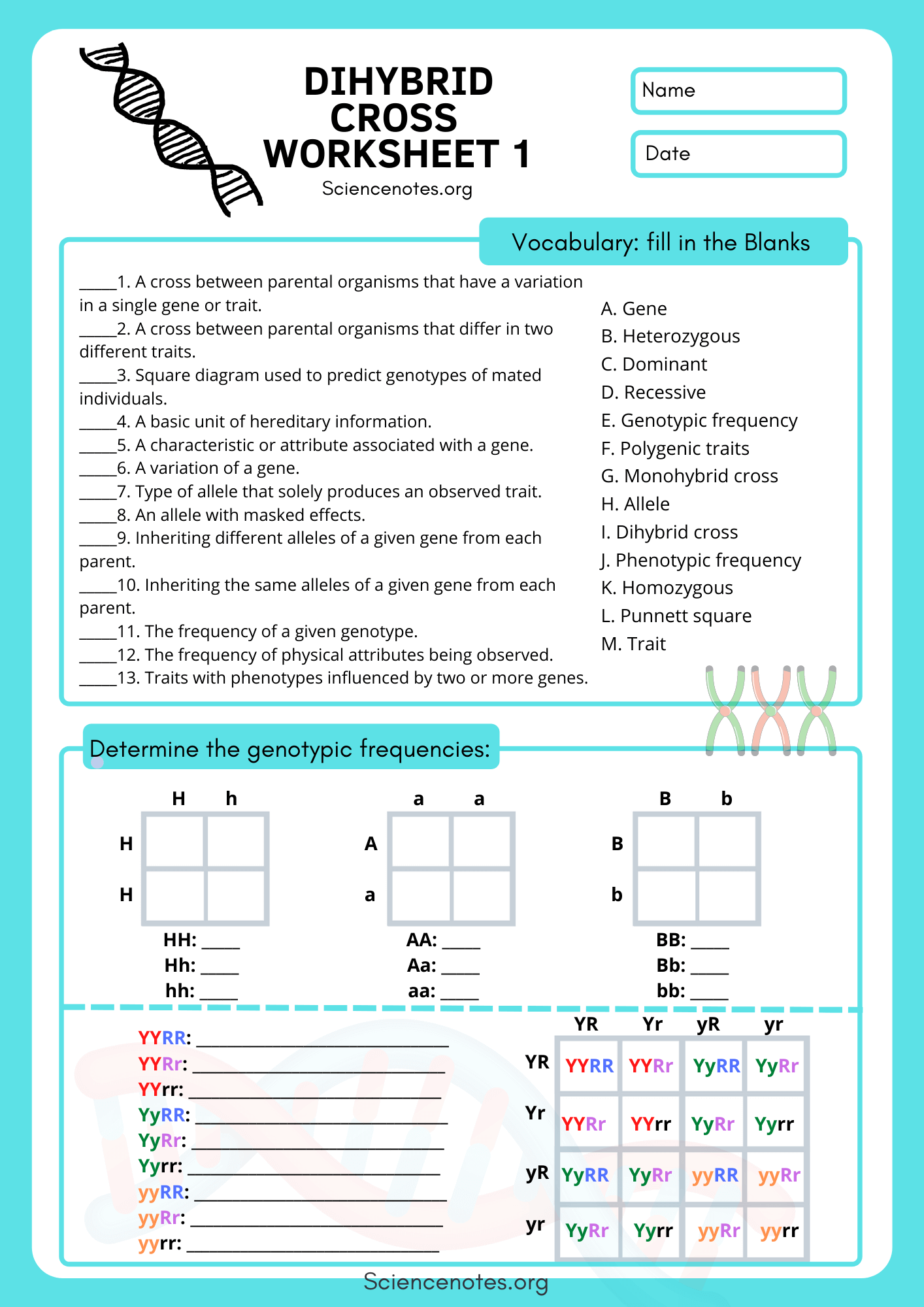 50 Genetics Worksheets On Quizizz Free Printable Worksheets Library