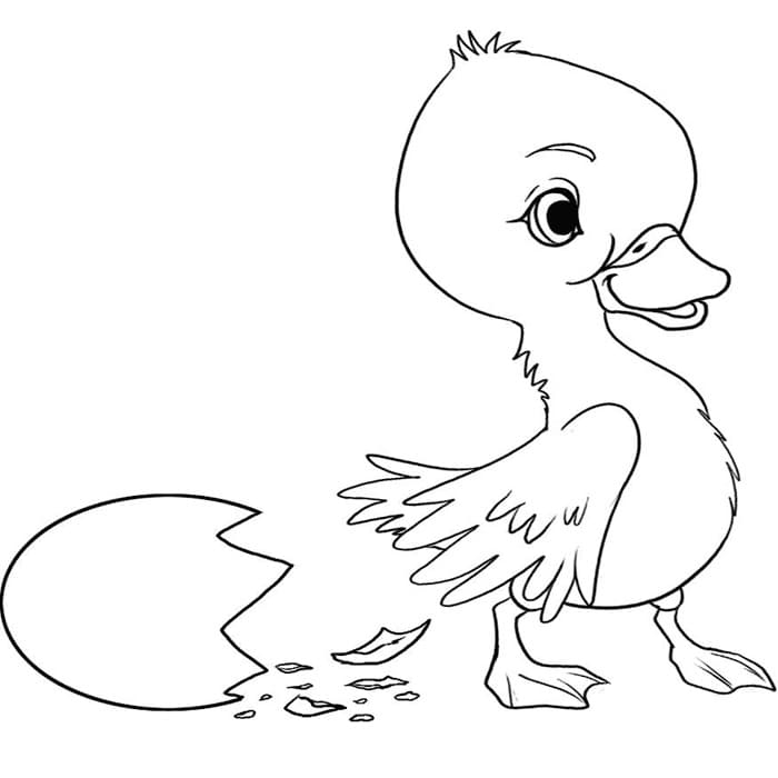 Duck And Duckling Coloring Pages