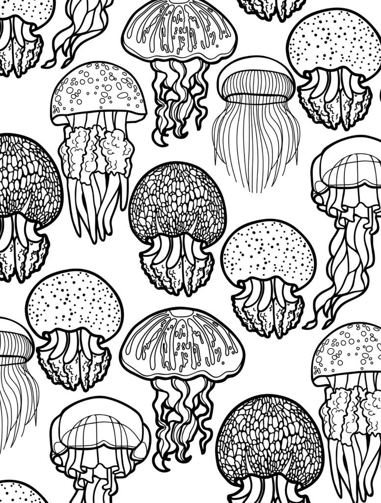 free coloring pages for adults animals