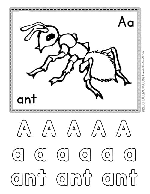 bug worksheets preschool