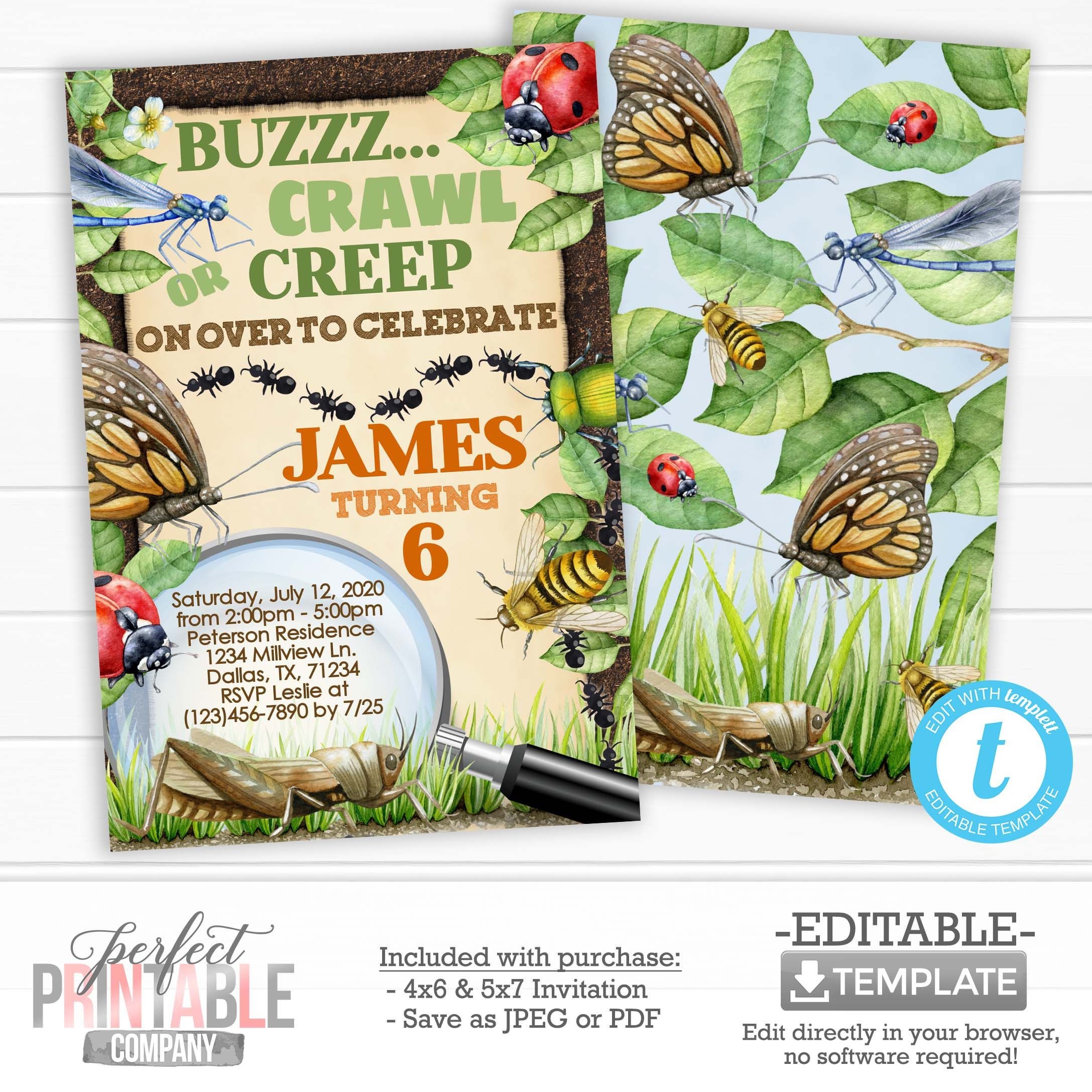 An Insect Themed Birthday Party With Bugs Grass And Leaves On The 
