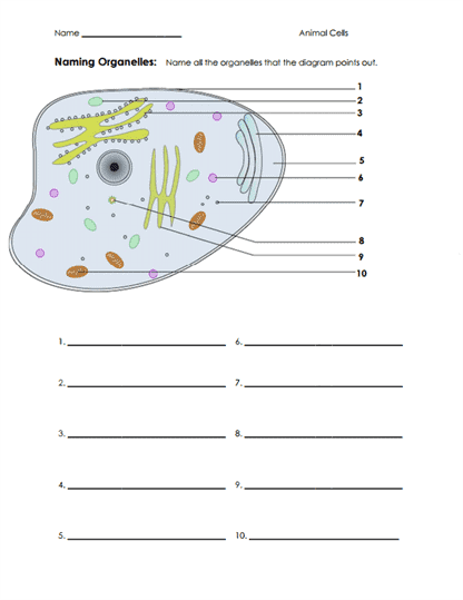 how to reference cells in other worksheets