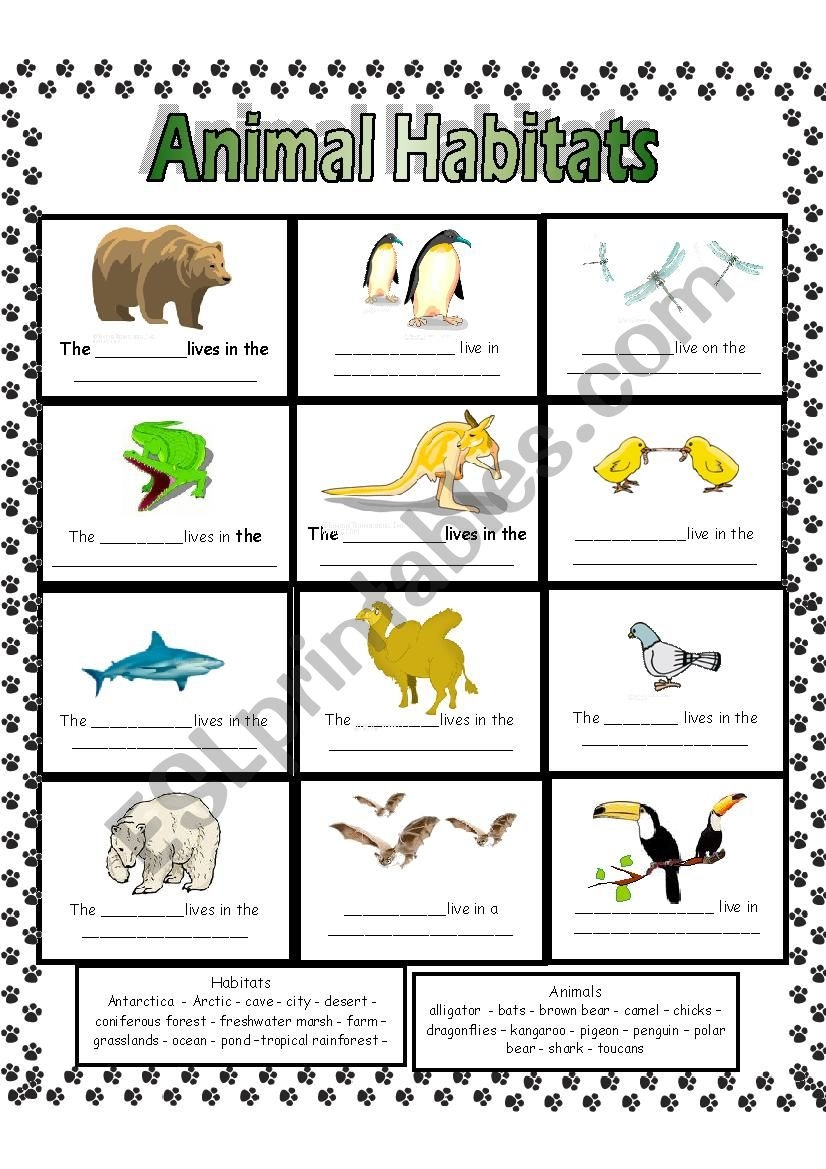 Animal Habitats Worksheets