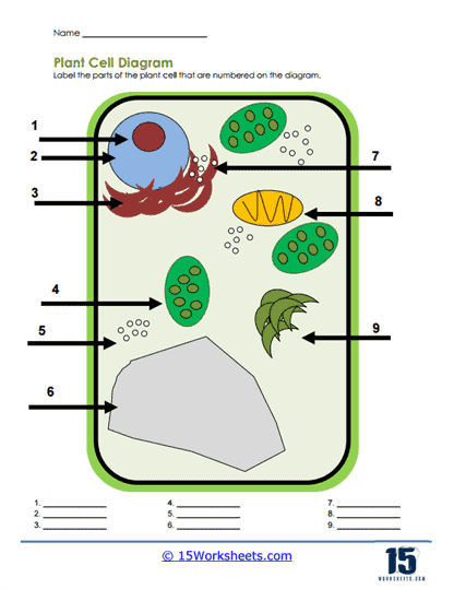 Animal Plant Cells Worksheet Live Worksheets Worksheets Library