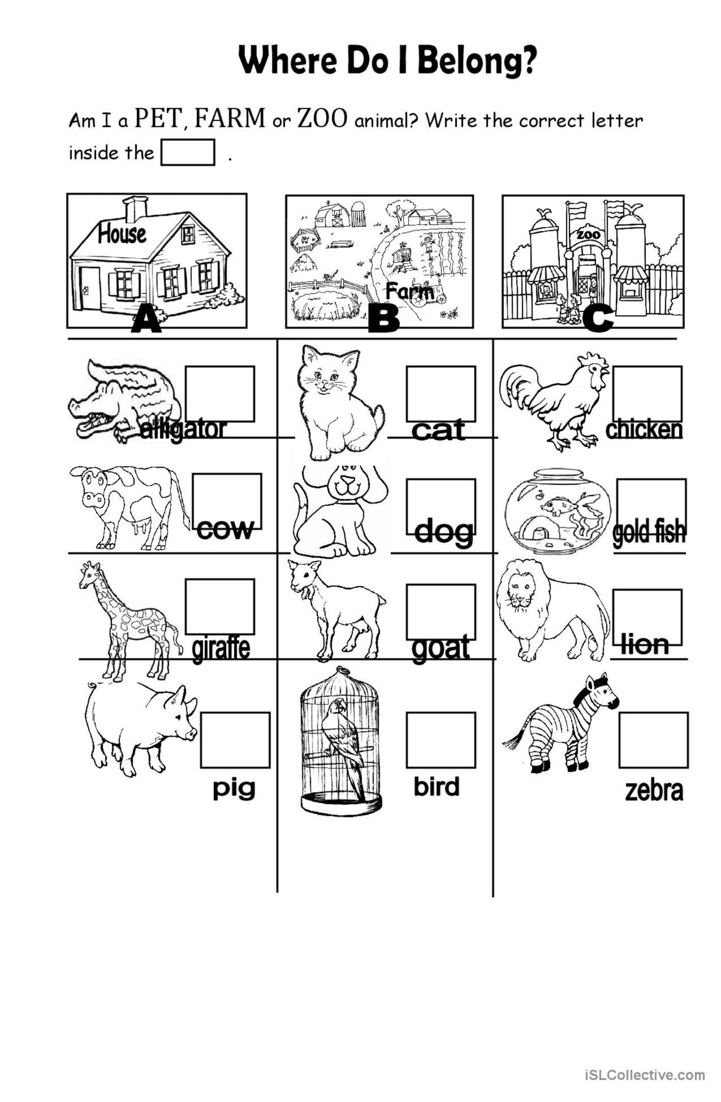 Animals Worksheet