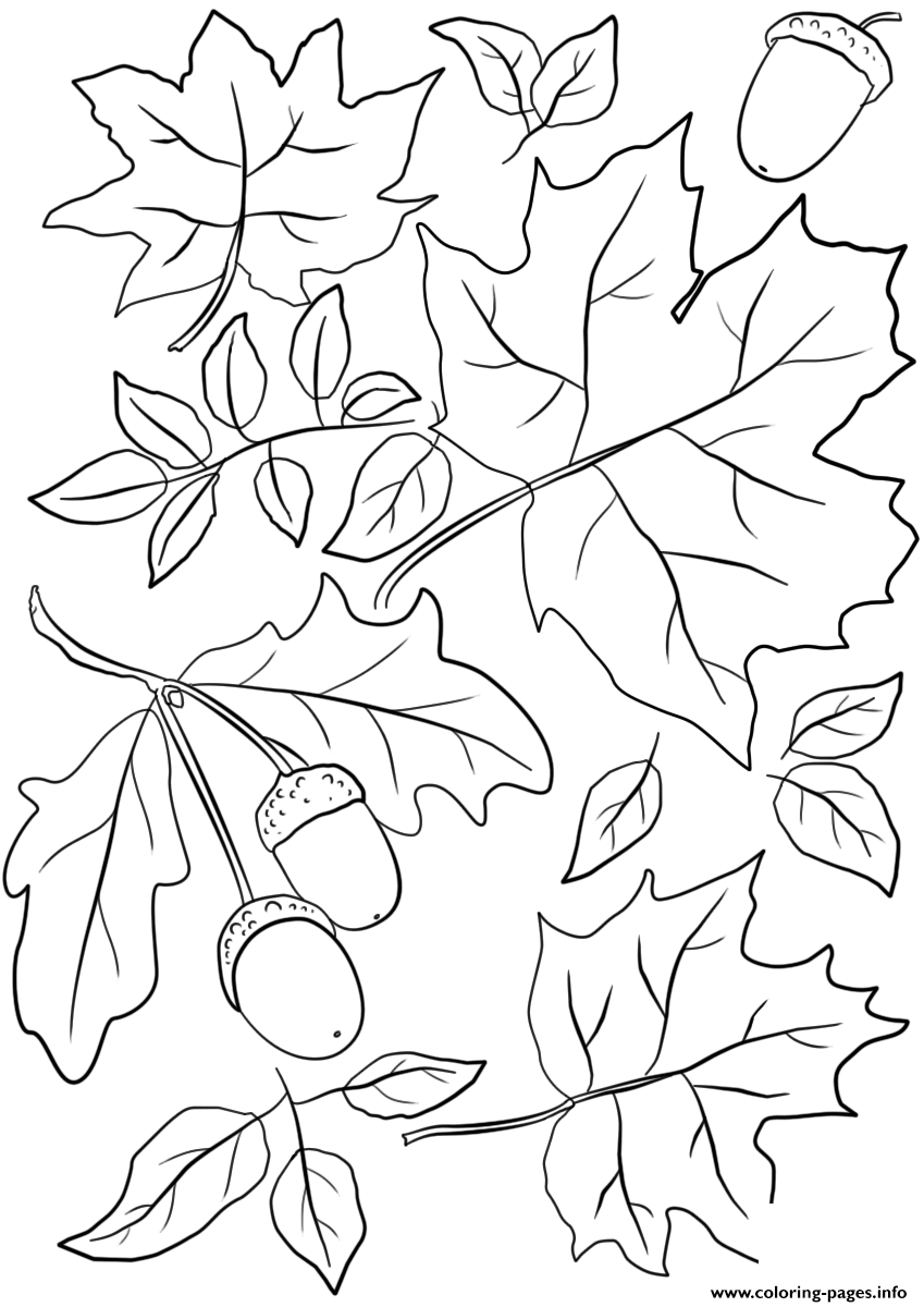 Autumn Leaves And Acorns Fall Coloring Page Printable