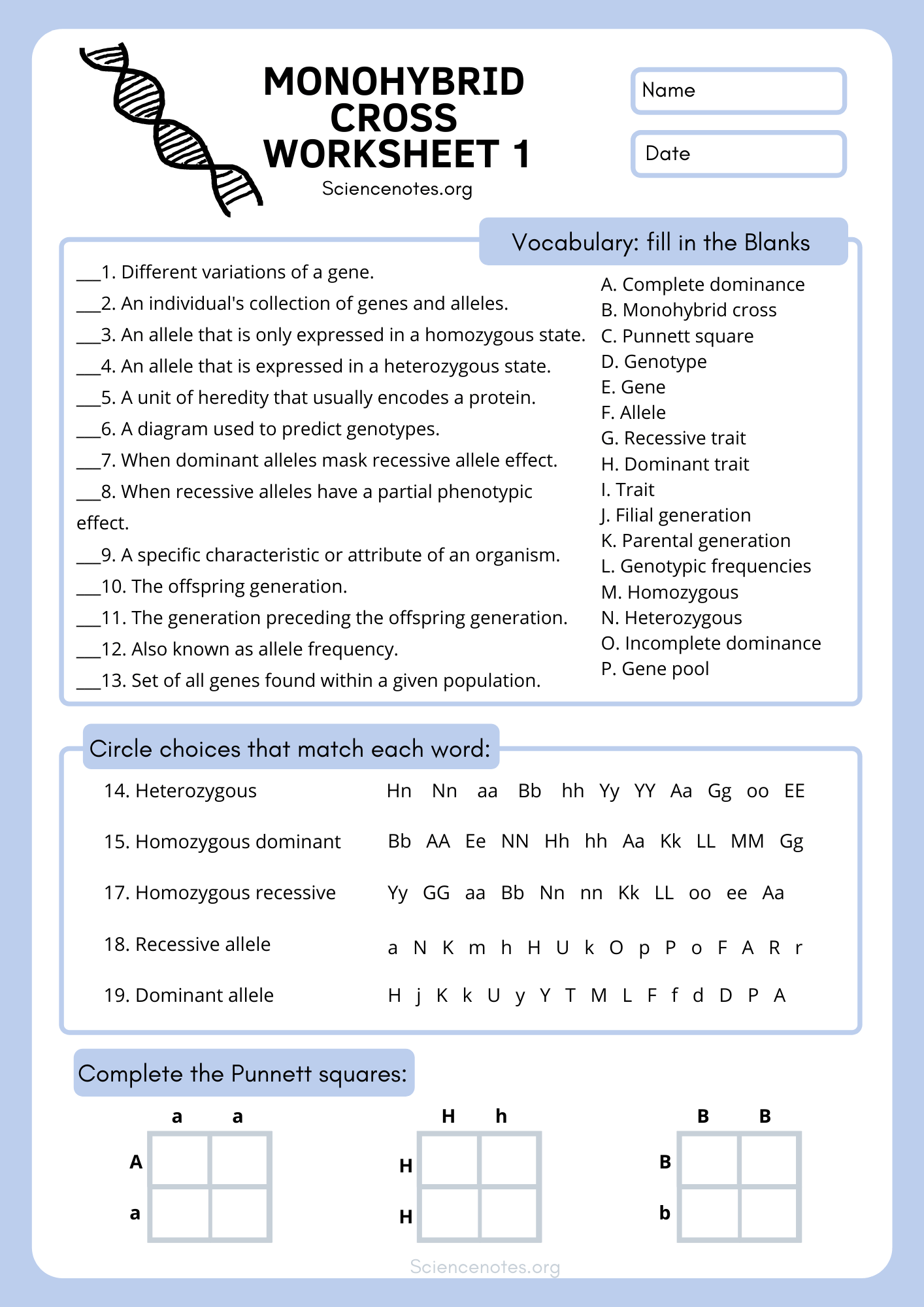 B 4 7 Genetics Worksheet Inheritance Patterns Worksheets Library