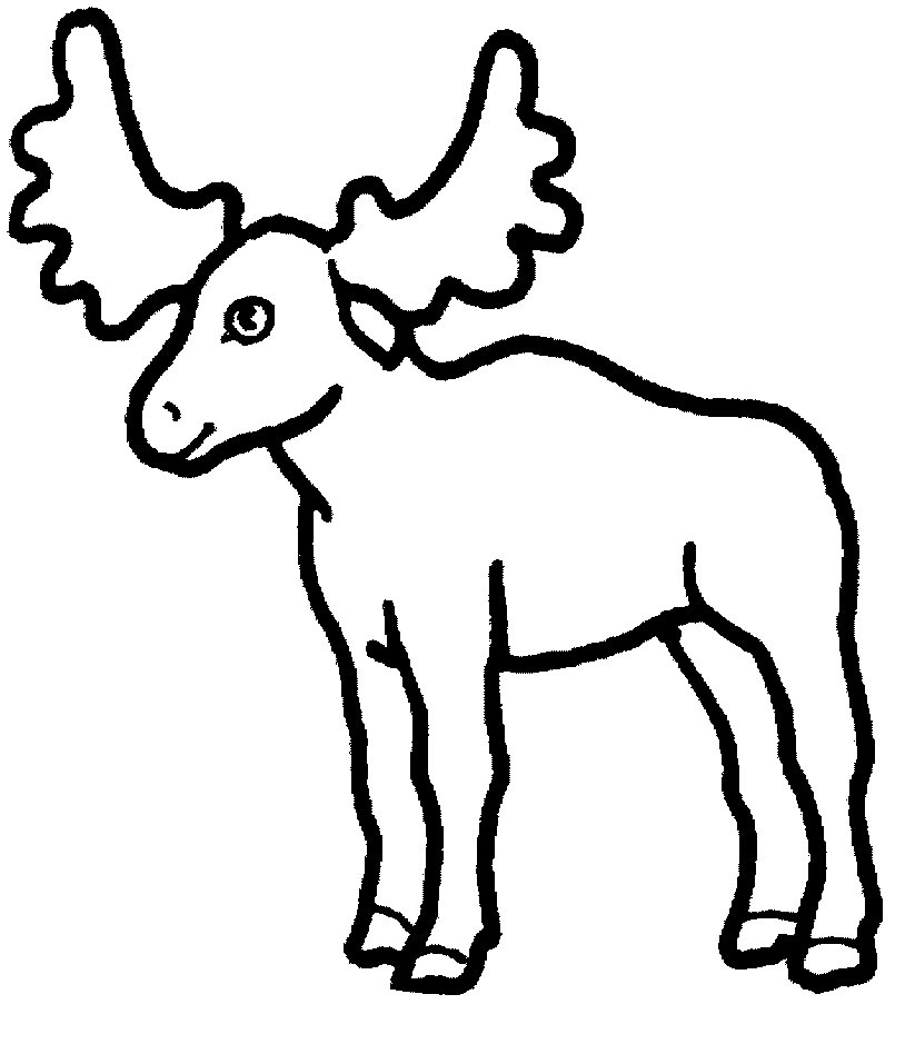Baby Moose Coloring Pages ColoringMe
