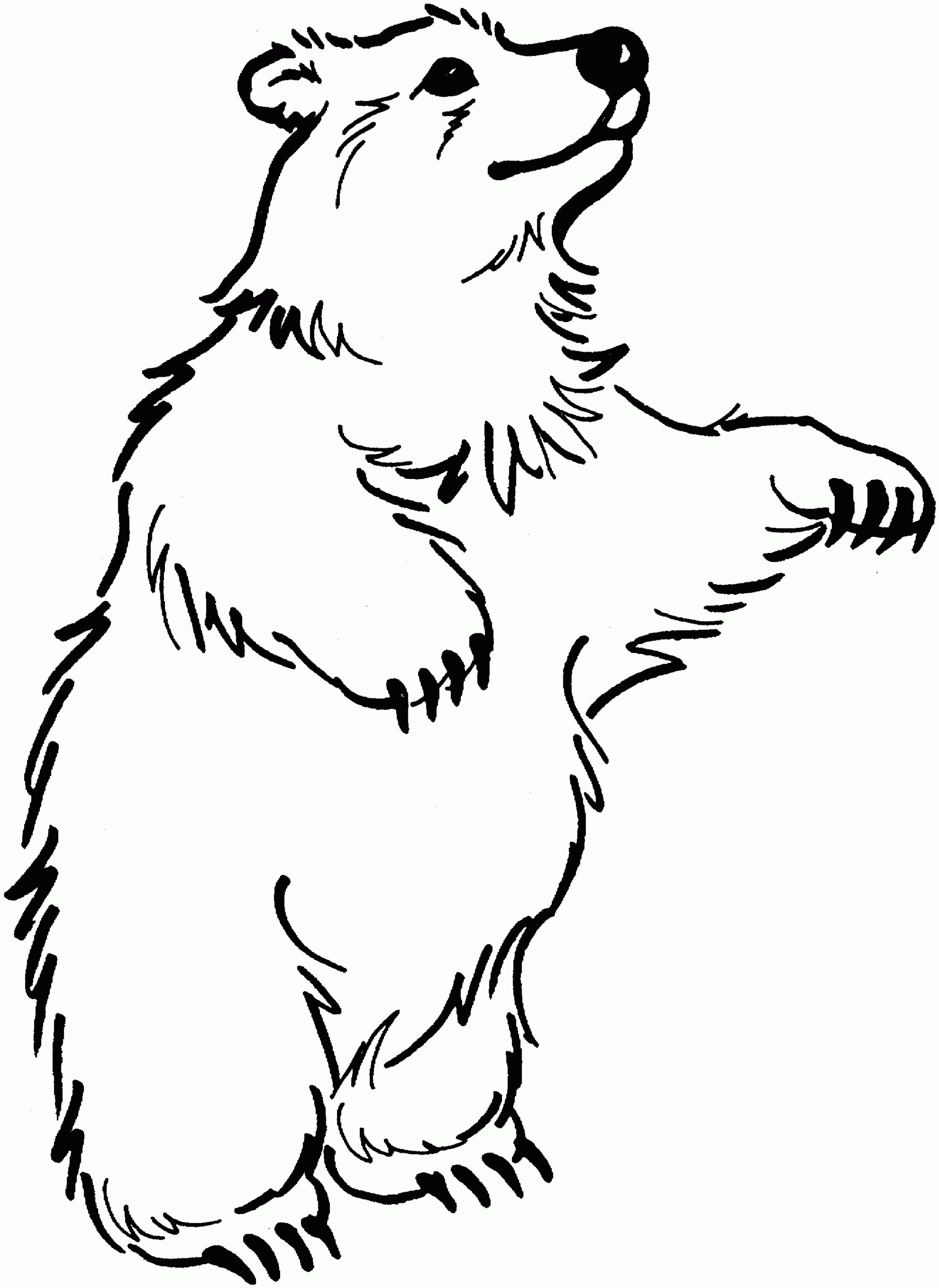 free coloring pages bears