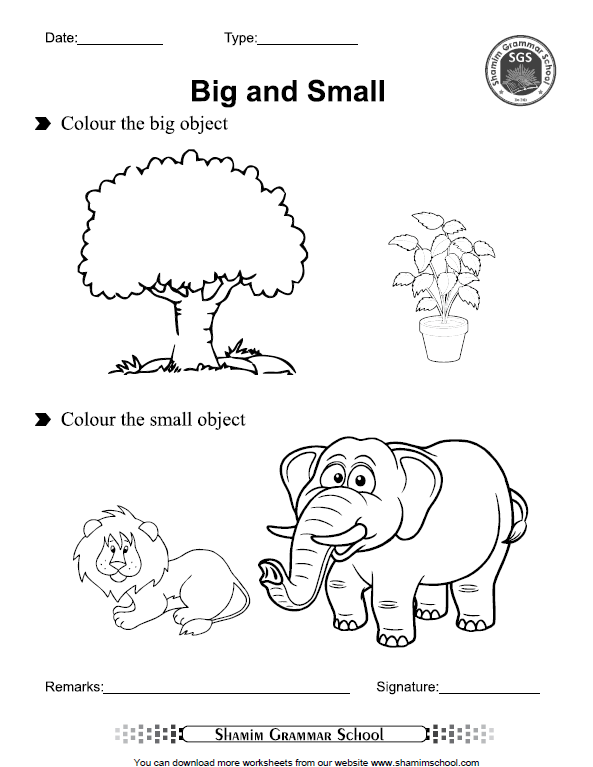 Big And Small Concept Free Printable Worksheet For Class Playgroup And