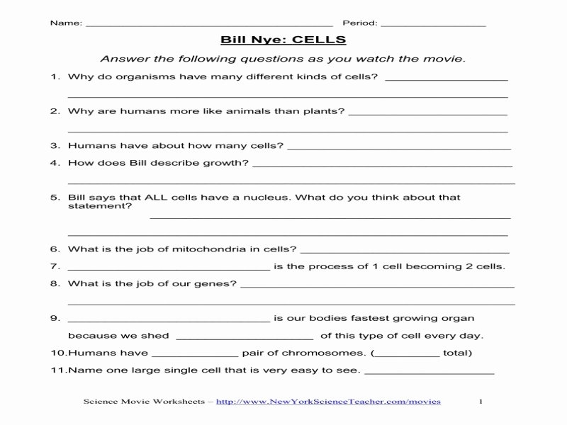 Bill Nye Biodiversity Worksheet Answers Lovely Bill Nye Biodiversity
