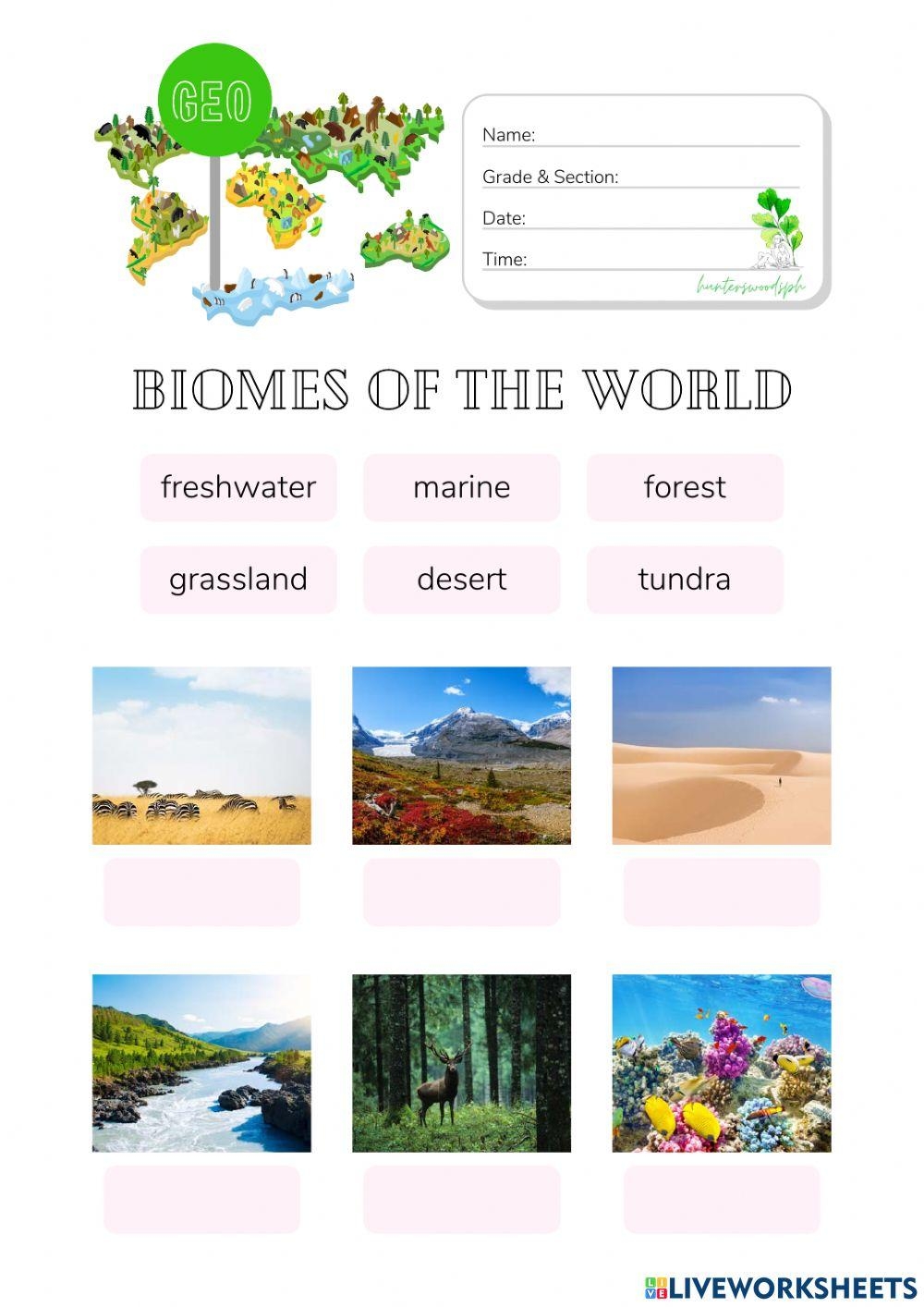 Biomes ESL Worksheet By Lorenzojoezel gmail Worksheets Library