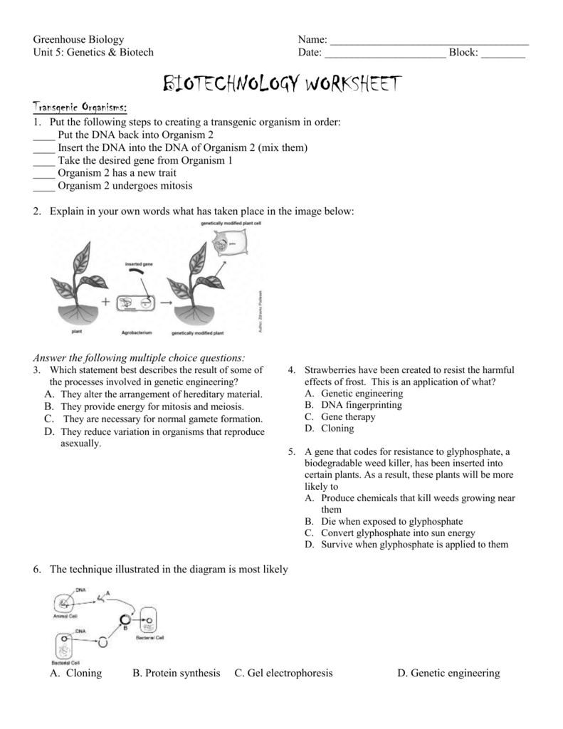 Biotechnology Worksheet Db excel