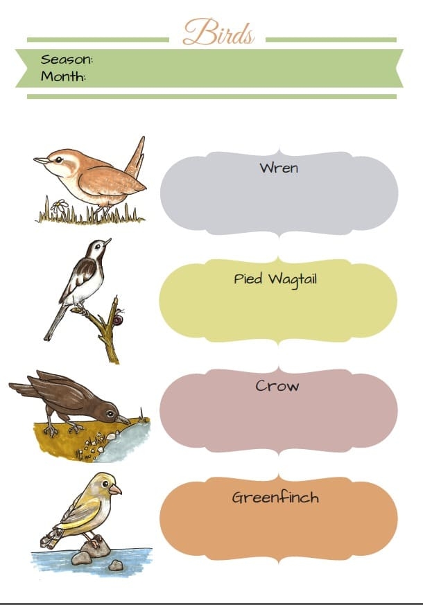 Bird Watching Identification FREE PRINTABLE Red Ted Art Kids Crafts