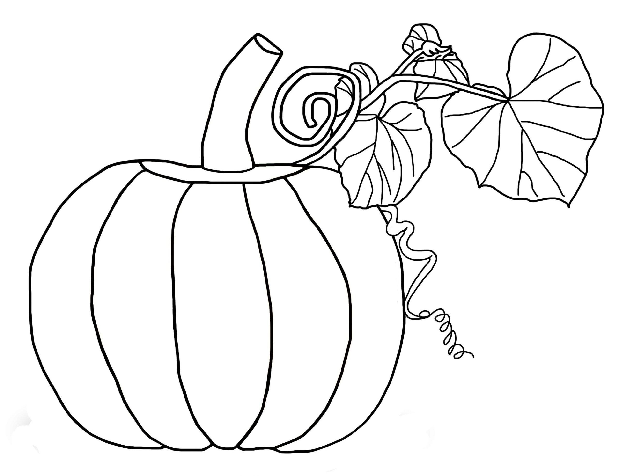 pumpkin template printable free