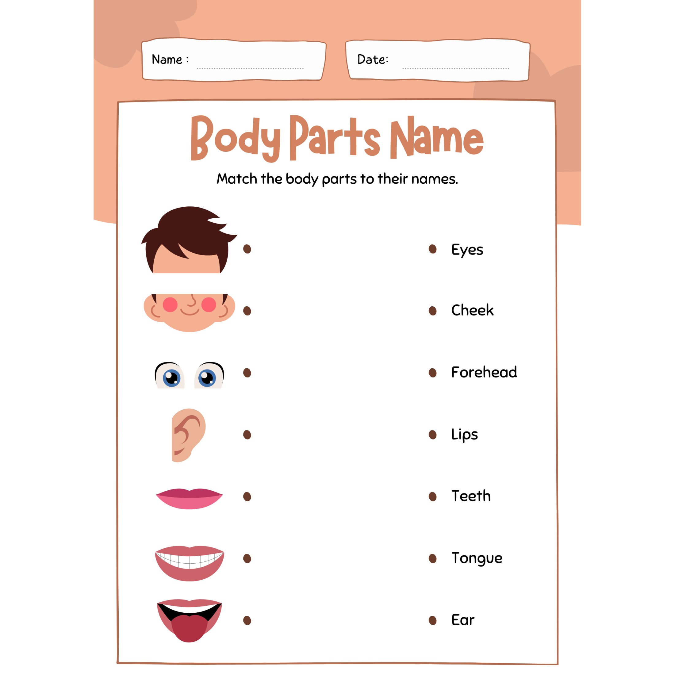 worksheet for parts of the body
