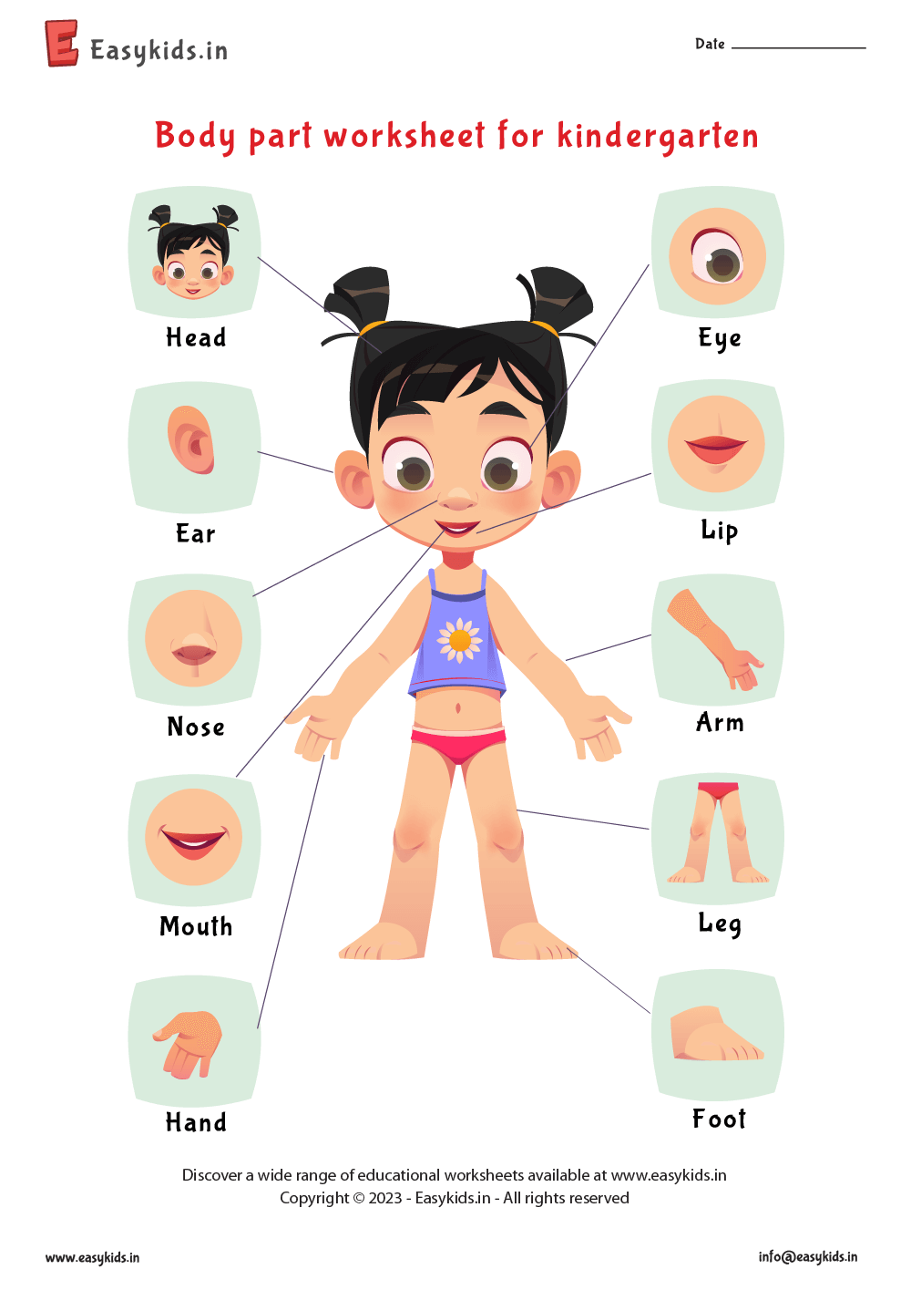 Body Parts Worksheet For Kindergarten EasyKids in Worksheets Library