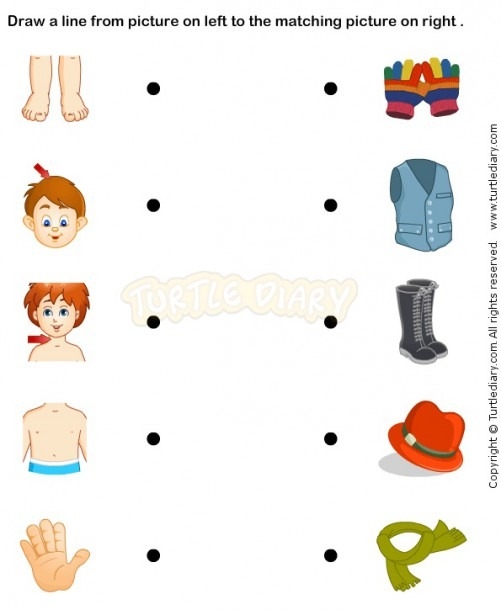 Boy Body Worksheets For Preschoolers