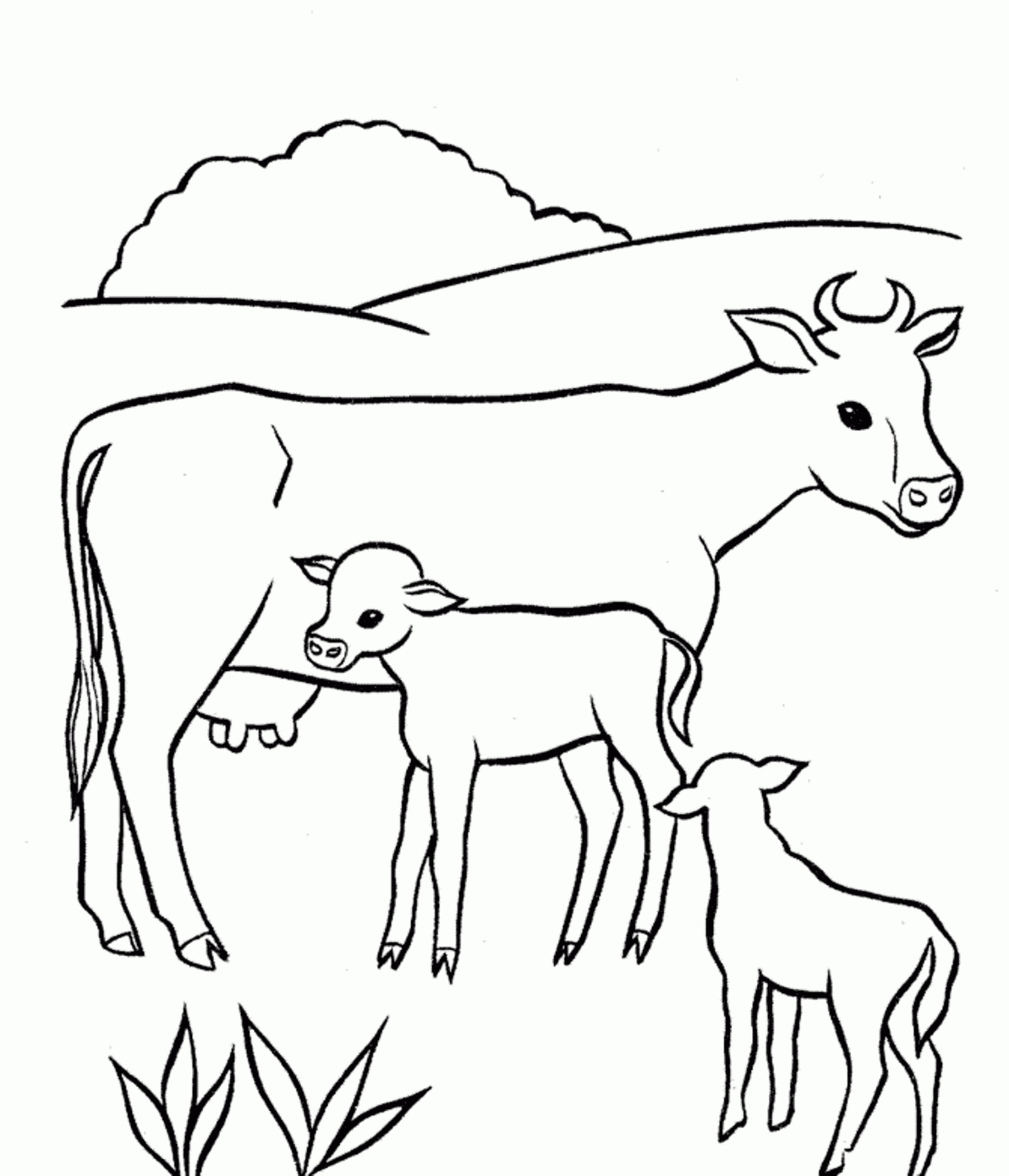 C Cow Coloring Pages Coloring Home