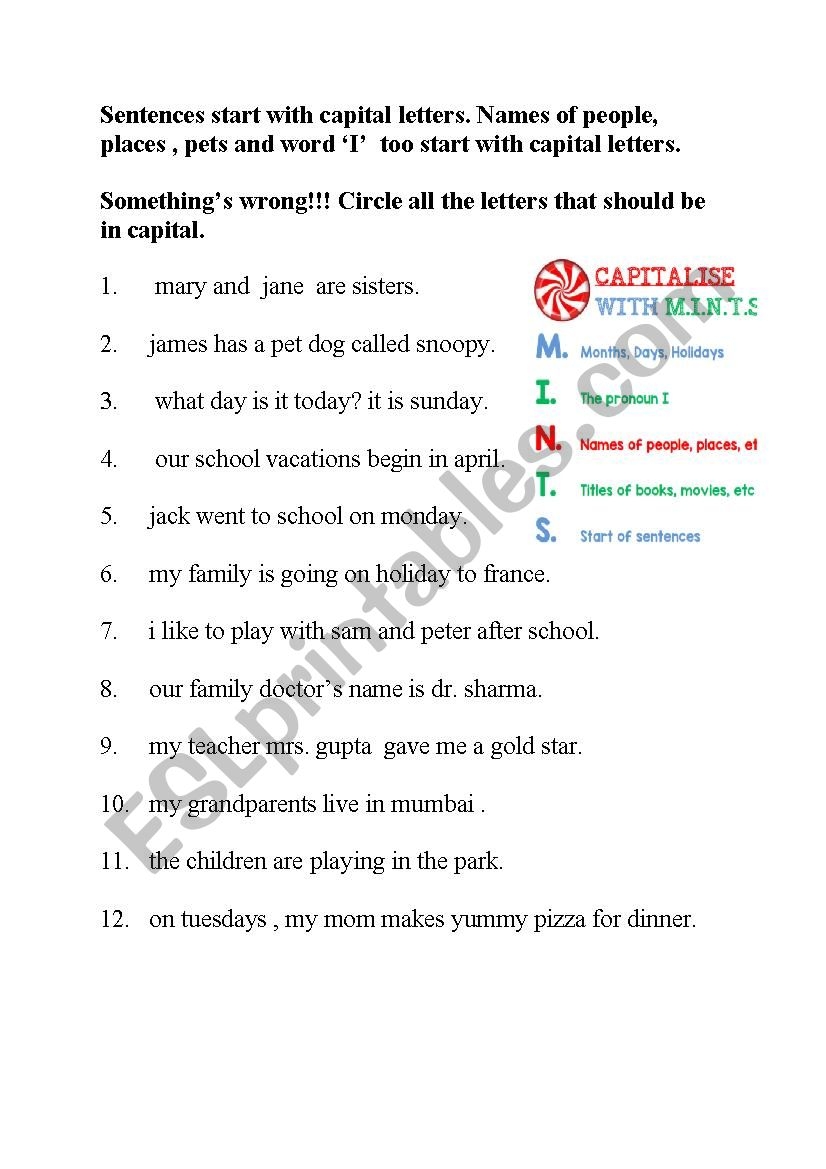 capitalisation worksheets