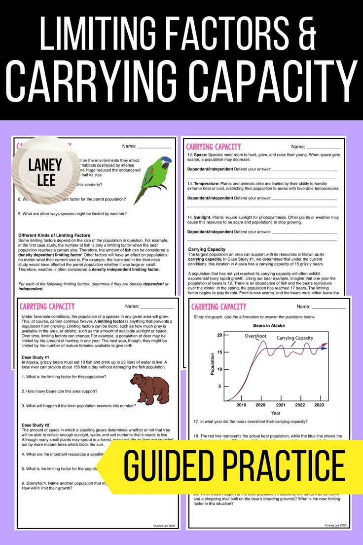 Carrying Capacity Limiting Factors Reading Comprehension Worksheets