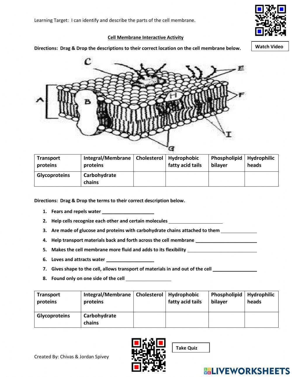 Cell Membrane Tonicity Worksheet Worksheet Worksheets Library