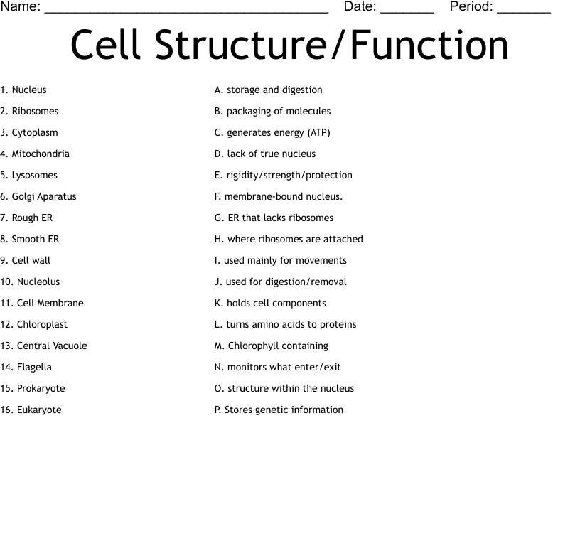 Cell Structure Function Worksheet WordMint SkillsWorksheets