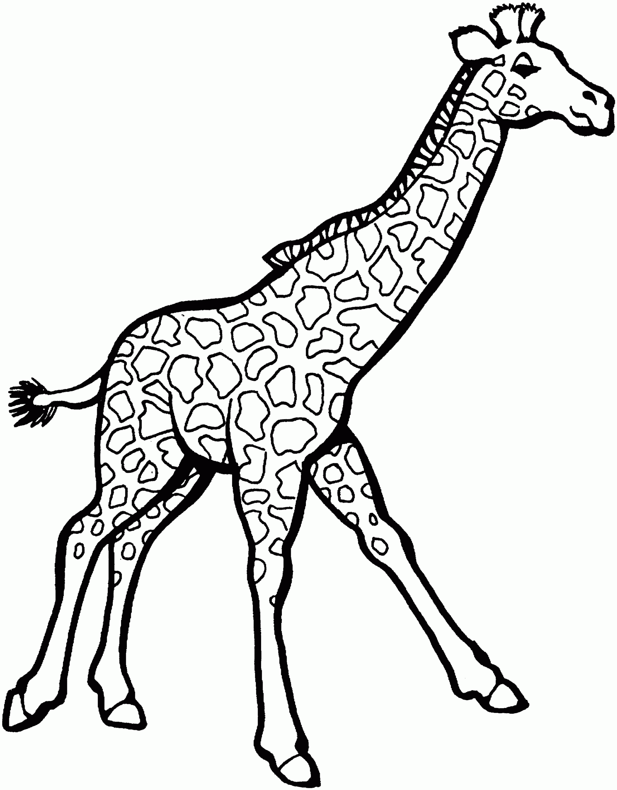 Clipart Panda Free Clipart Images