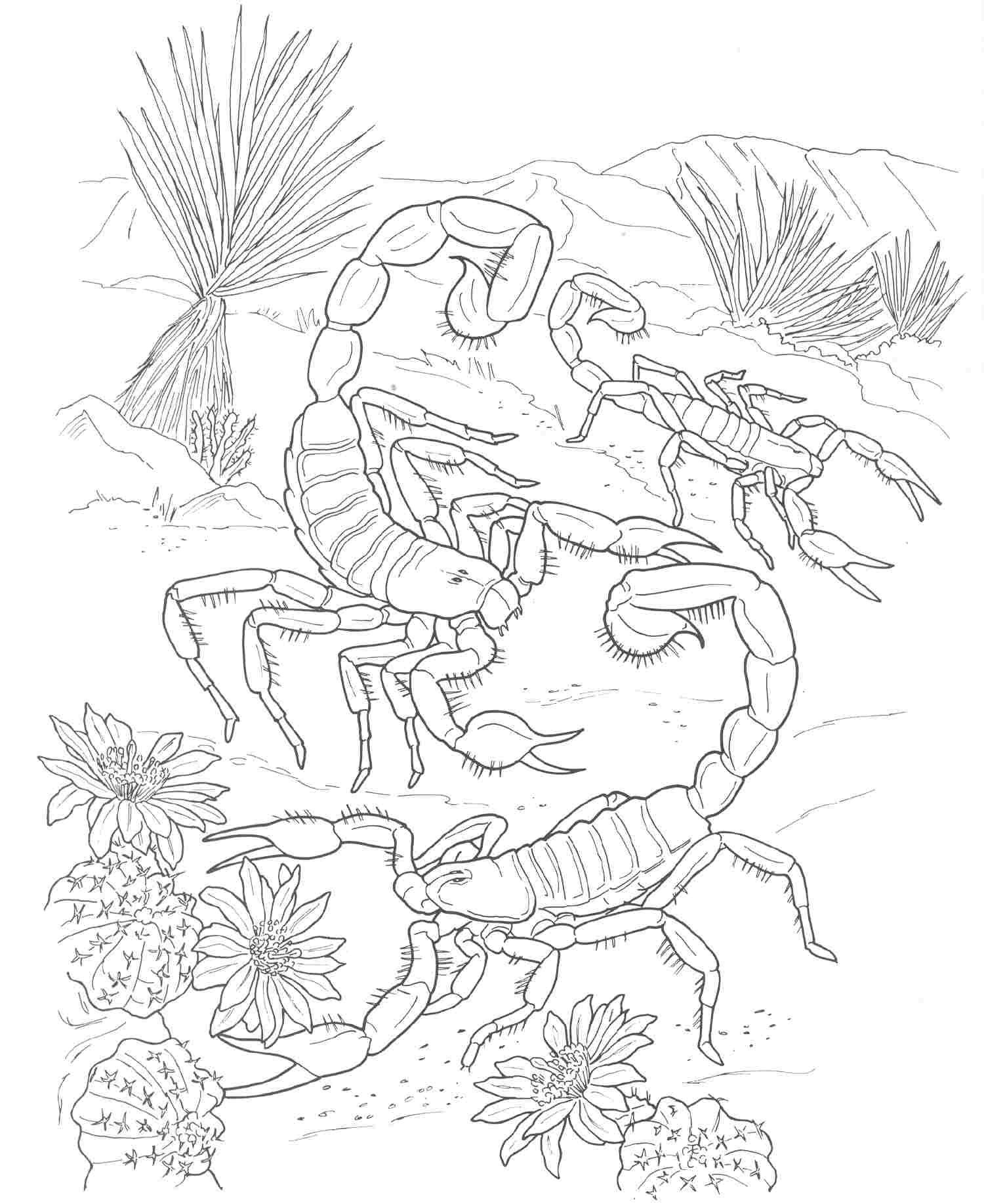Coloring Pages Of Animals To Print