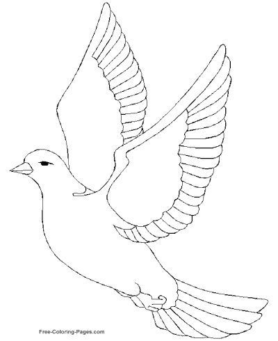 Coloring Pages Of Birds