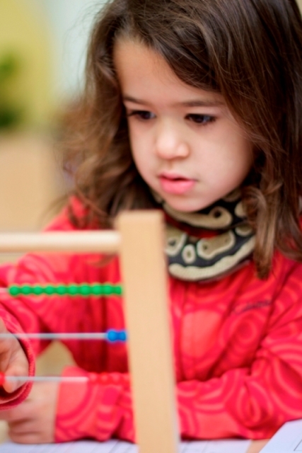 Contact Us Montessori Math Cards