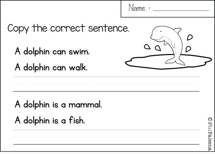 copying sentences worksheets