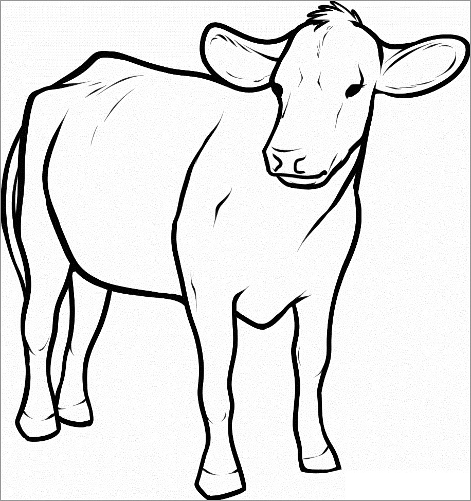 Cow Coloring Pages ColoringBay