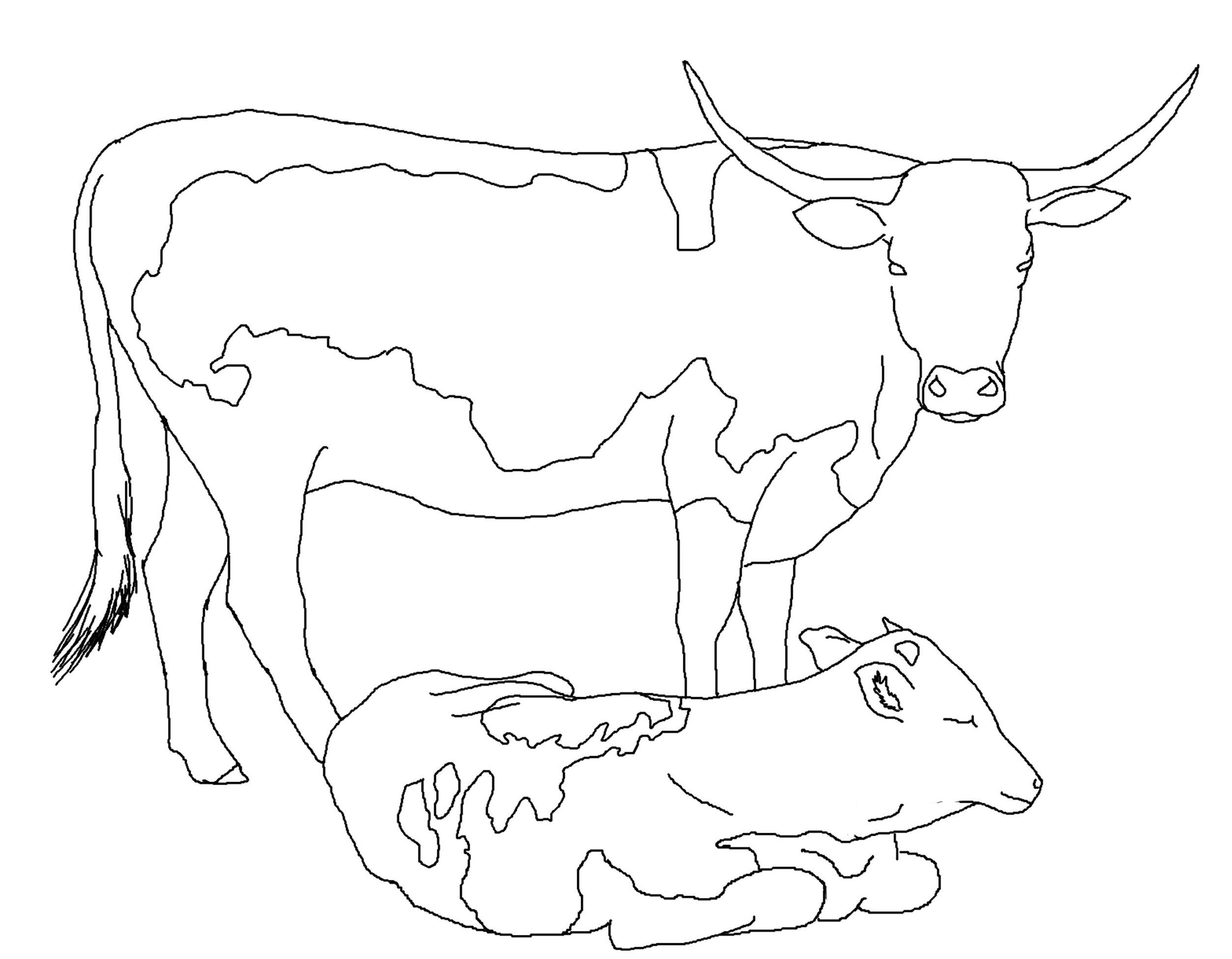 free printable cow coloring pages