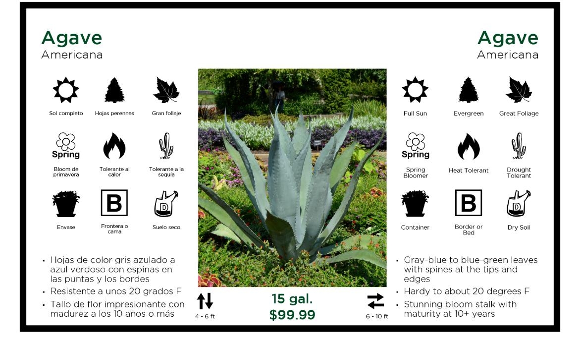 printable bench cards